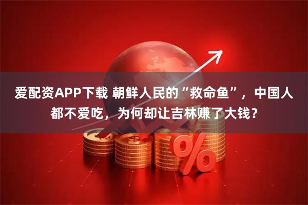 爱配资APP下载 朝鲜人民的“救命鱼”，中国人都不爱吃，为何却让吉林赚了大钱？