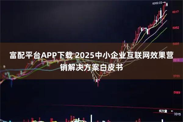 富配平台APP下载 2025中小企业互联网效果营销解决方案白皮书