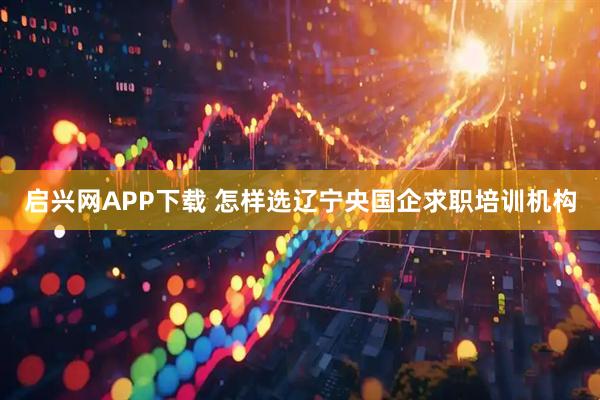 启兴网APP下载 怎样选辽宁央国企求职培训机构